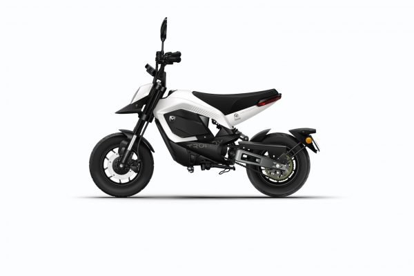 Freedom white